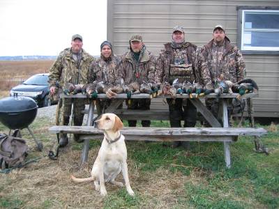 Sitting Ducks Hunt Club